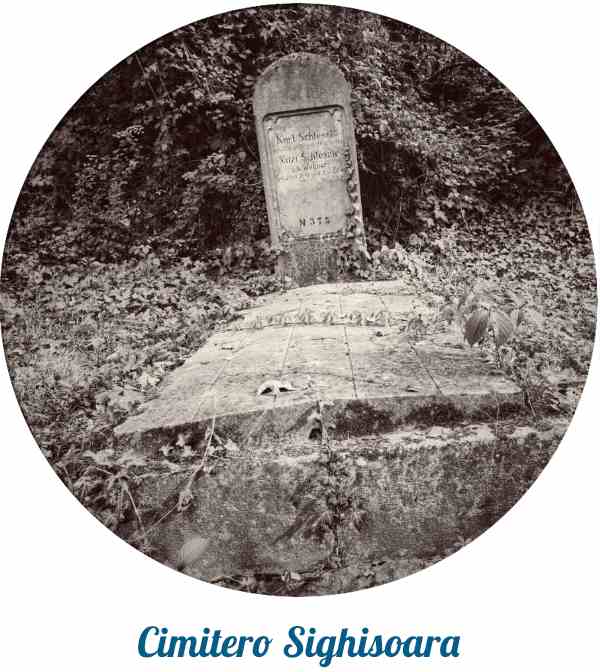 Ti potrebbe interessare anche...